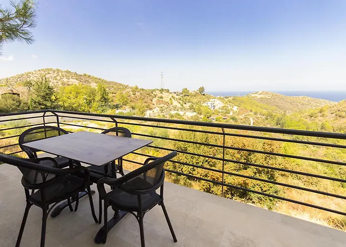 Ilgaz Vineyard By Holidaykeys