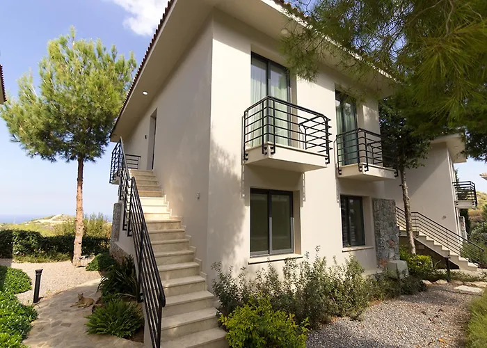 Ilgaz Vineyard By Holidaykeys